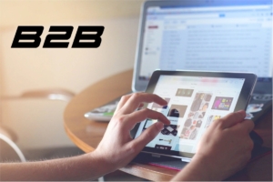 improve b2b ecommerce revenue