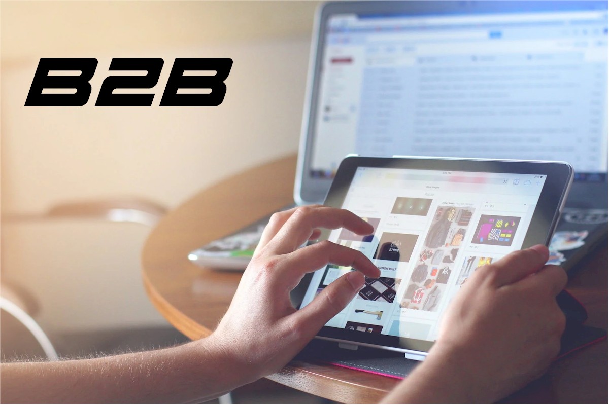 improve b2b ecommerce revenue